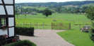tuin
